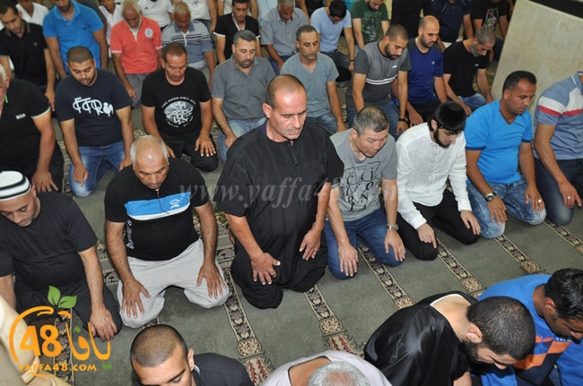 traw7 jabalayaua (20).JPG